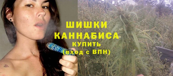 стаф Верхний Тагил