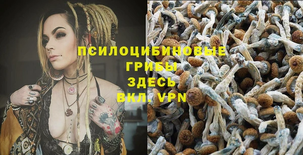 каннабис Верея