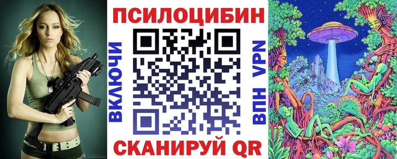 где можно купить   даркнет наркотические препараты  Галлюциногенные грибы мицелий  Карабаново 